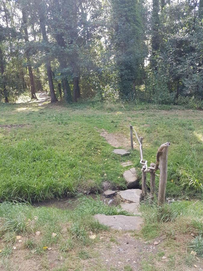 Bnbmarlies Oirsbeek Bagian luar foto